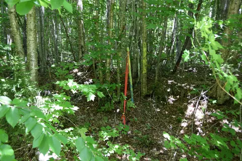 Mso3 L16 Flow Road, Carrying Place Twp, ME 04961