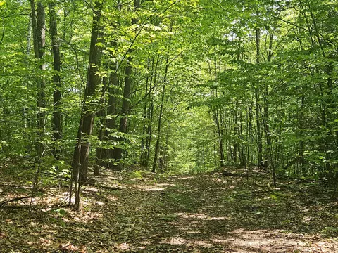 lot023 A Oak Hill Rd, Temple, ME 04984