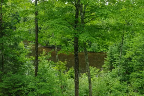 View/Area - 58 River Rd, Abbot, ME 04406 photo 10 of 21