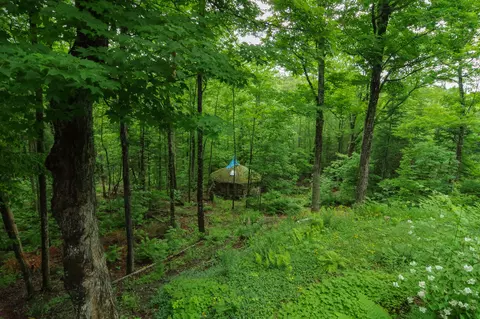 Exterior - 58 River Rd, Abbot, ME 04406 photo 13 of 21