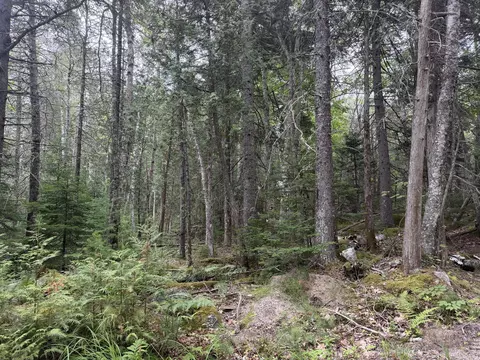 00 Youngs Point Rd, Brooksville, ME 04617