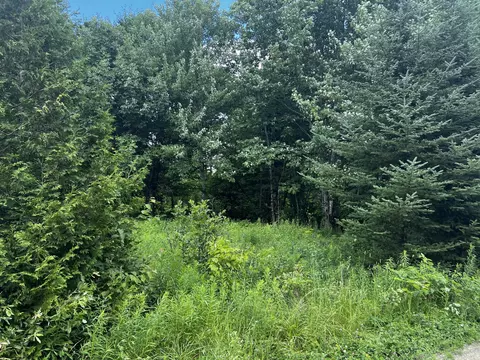 lot11 Davis Brook Rd, Amity, ME 04471 photo 5