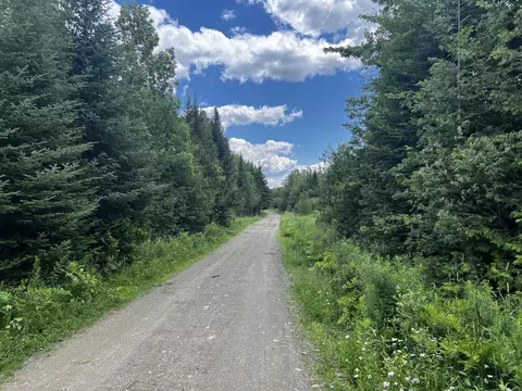 lot11 Davis Brook Rd, Amity, ME 04471 photo 4