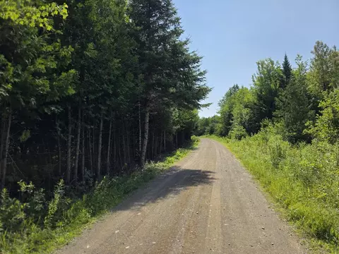 lot11 Davis Brook Rd, Amity, ME 04471 photo 8