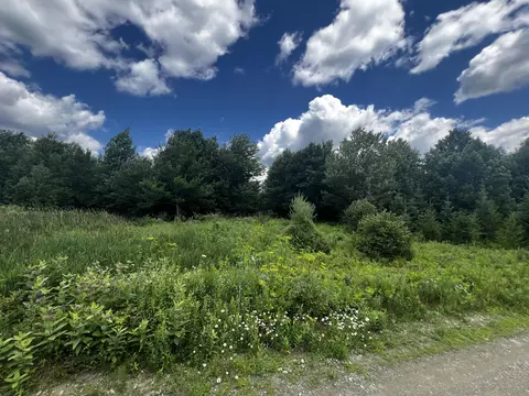 lot11 Davis Brook Rd, Amity, ME 04471 photo 2