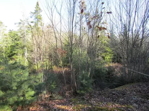 90 Farm Edge Rd, Sullivan, ME 04664 photo 3