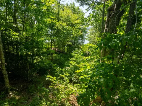 View/Area - 47 Tranquility Ln, Perry, ME 04667 photo 1 of 37