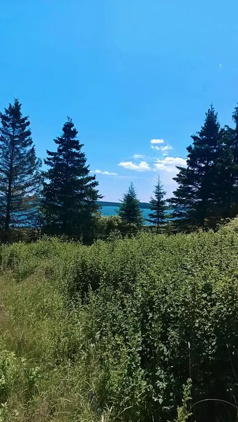4 Prime St, Eastport, ME 04631