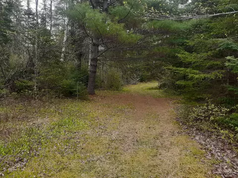 Exterior - 808 Skedgell Rd, Cary Plt, ME 04471 photo 18 of 18