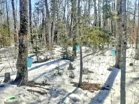 Exterior - 808 Skedgell Rd, Cary Plt, ME 04471 photo 15 of 18