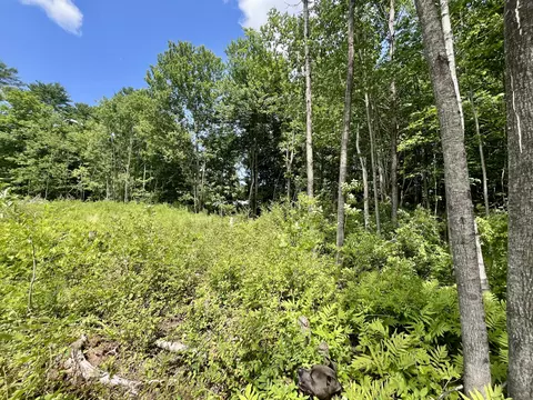 0 Plummer Rd, Richmond, ME 04357 photo 9