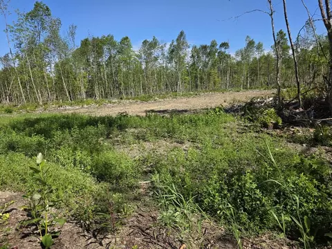 lot27 Williams Rd, Amity, ME 04471