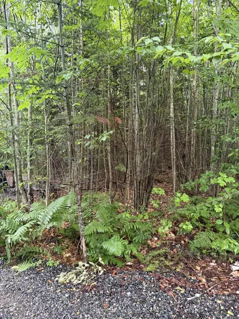 4 Kolm Ln, Sebec, ME 04481 photo 4