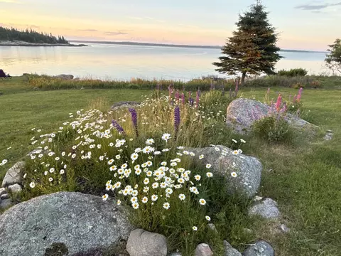 View/Area - 8 Youngs Point Rd, Gouldsboro, ME 04607 photo 7 of 9
