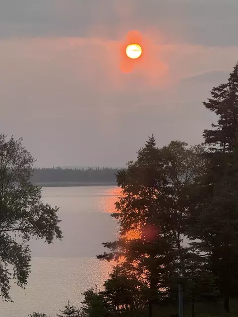 View/Area - 8 Youngs Point Rd, Gouldsboro, ME 04607 photo 9 of 9