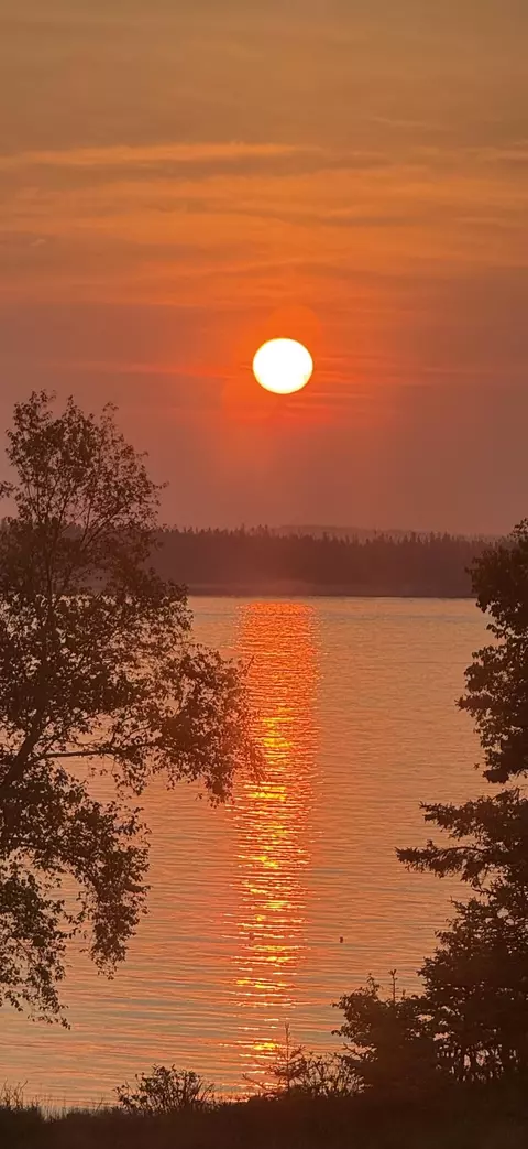 View/Area - 8 Youngs Point Rd, Gouldsboro, ME 04607 photo 3 of 10