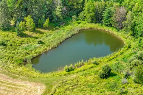 View/Area - 383 Benedicta Rd, Benedicta, ME 04733 photo 9 of 24