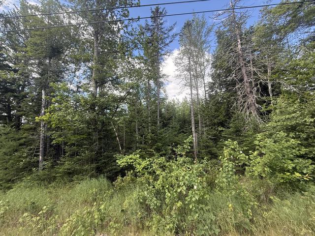 lot Apt 5 Russell Hill Rd, Bucksport, ME 04416