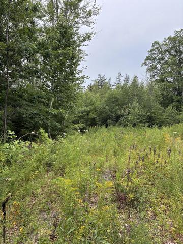 lot10 White Deer Cir, Bar Harbor, ME 04609