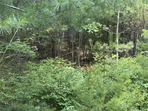 lot068011 Shore Rd, Bremen, ME 04551