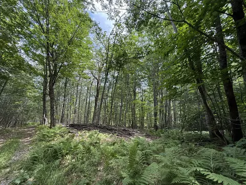 3 Bradley Dr, Harmony, ME 04942 photo 5