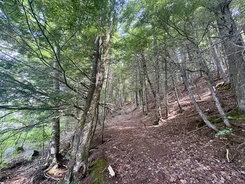 Other - 219 River Rd, Maxfield, ME 04453 photo 3 of 9