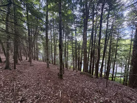 View/Area - 219 River Rd, Maxfield, ME 04453 photo 3 of 4