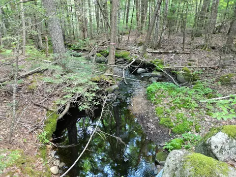 lot18 2 Madagascal Pond Rd, Burlington, ME 04417