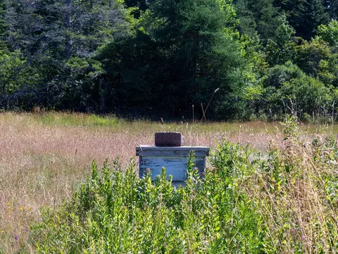 Other - 60 Pequot Rd, Vinalhaven, ME 04863 photo 12 of 16
