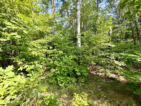 Exterior - 421 Fuller Rd, Hermon, ME 04401 photo 17 of 22