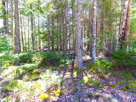 14 Woods Rd, Steuben, ME 04680 photo 14