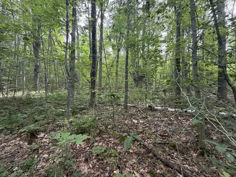 2 B1 2b2 East Pittston Rd, Dresden, ME 04342 photo 13