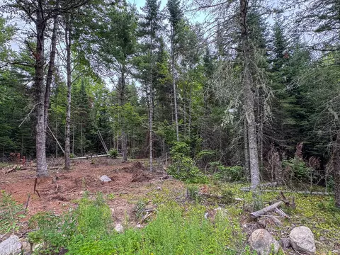 191 Old Winn Rd, Springfield, ME 04487 photo 13