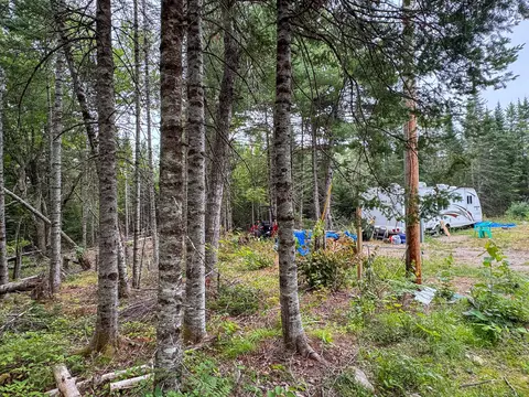 191 Old Winn Rd, Springfield, ME 04487 photo 17