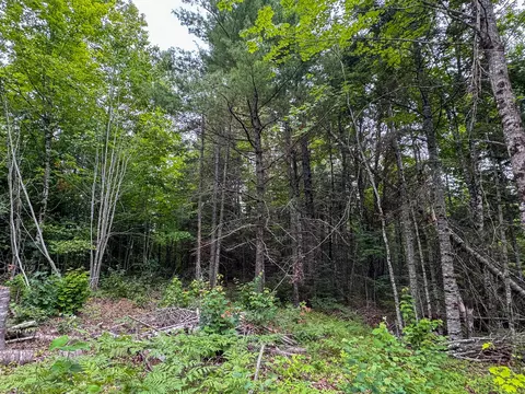 191 Old Winn Rd, Springfield, ME 04487 photo 16