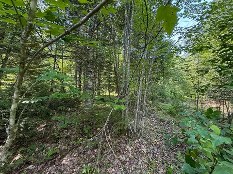 Exterior - 132 Rainey Rd, Springfield, ME 04487 photo 11 of 17