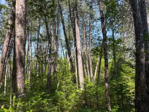 Other - 132 Rainey Rd, Springfield, ME 04487 photo 9 of 11