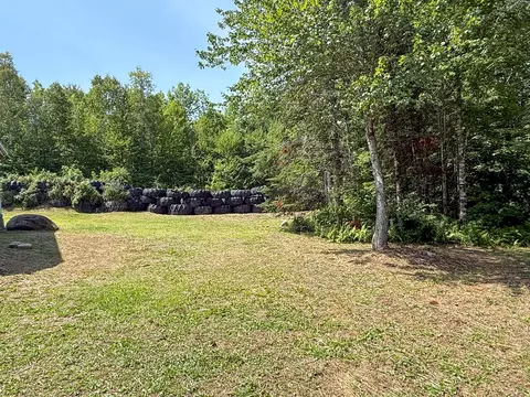 Exterior - 132 Rainey Rd, Springfield, ME 04487 photo 8 of 17