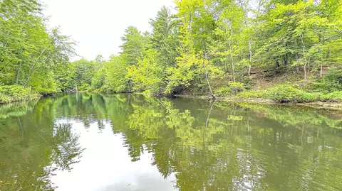 View/Area - 31 Welch Dr, Casco, ME 04015 photo 6 of 10
