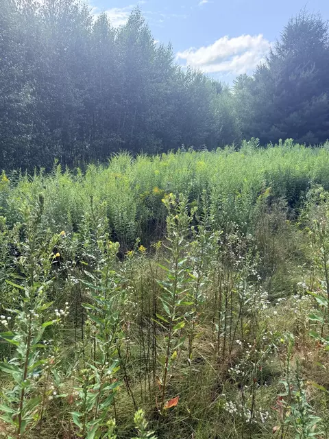 Other - 570 Unity Rd, Benton, ME 04901 photo 21 of 26