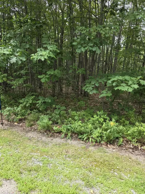 0 Fuller Rd, Jay, ME 04239 photo 6