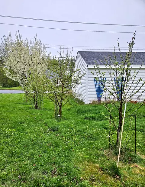 Exterior - 38 Access Hwy, Limestone, ME 04750 photo 7 of 8