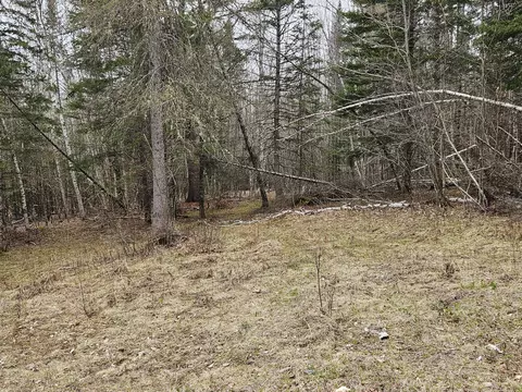 Exterior - 10 Hobbstown Rd, Milo, ME 04463 photo 7 of 9