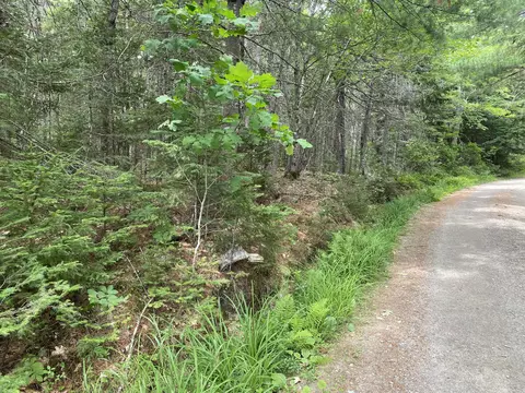 M39, Blue Hill, ME 04614