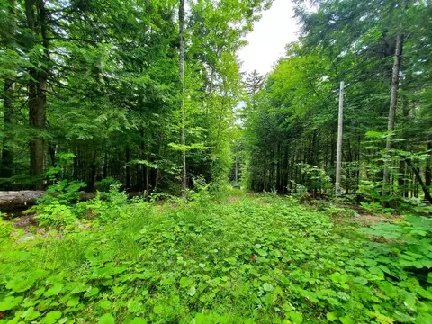 Map18lot27 Sandy Beach Road, Danforth, ME 04424 photo 12