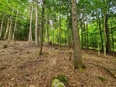 Map18lot27 Sandy Beach Road, Danforth, ME 04424 photo 8