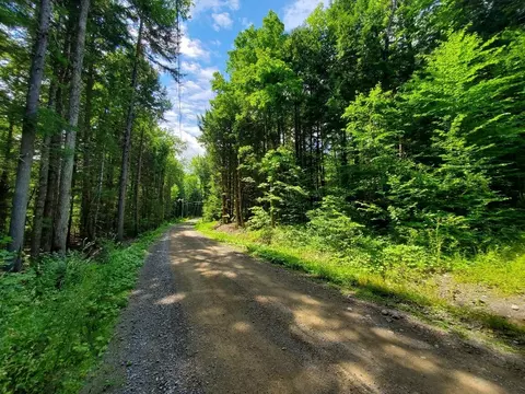 Map18lot27 Sandy Beach Road, Danforth, ME 04424 photo 23
