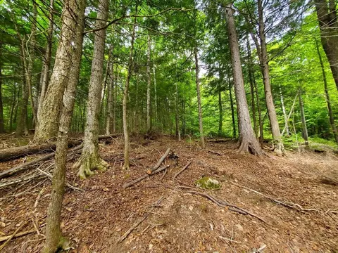 Map18lot27 Sandy Beach Road, Danforth, ME 04424 photo 9