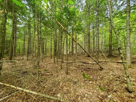 Map18lot27 Sandy Beach Road, Danforth, ME 04424 photo 17