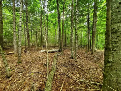 Map18lot27 Sandy Beach Road, Danforth, ME 04424 photo 18